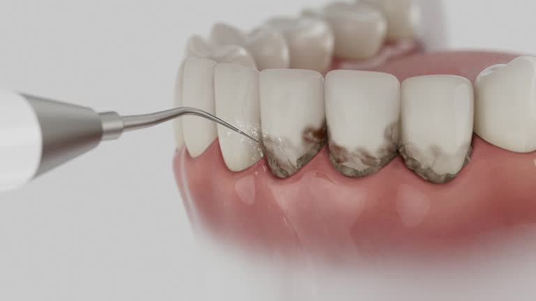 Reliable Dental contractor in Southfield, MI by Dentist Open Now